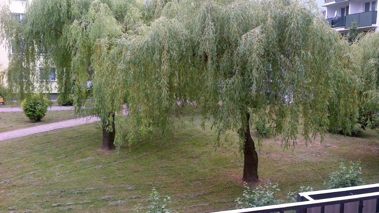 Zielona Herbowa Lublin Exterior foto